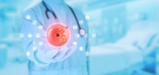 Gynecologist doctor isolated on light blue background examines the inside of the uterus with...