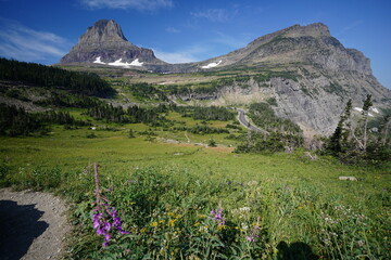 alpine meadow in the mountains
