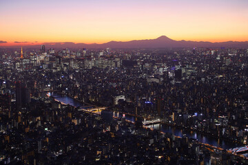 Fototapeta premium 東京都 街並みと夜景