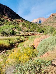 Stunning roadside view driving along the scenic bypass highway route 9 through Zion national park...
