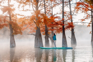 Woman on stand up paddle board at the river with swamp trees and fog