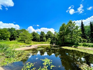 Picture perfect landscape - natural beauty at CD Lane Park outside Windham, NY.  Refreshing crystal clear lake to kayak or swim, meandering wildflower meadows, hike wooded trails,  in the Catskills.