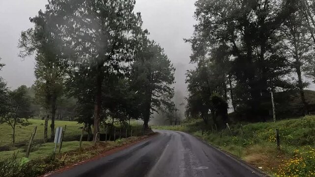 Carretera con lluvia y niebla