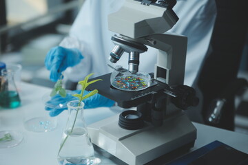 Scientist cutting plant tissue culture in petri dish, performing laboratory experiments. Small...