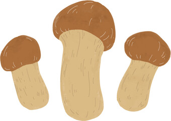 Fototapeta premium 자연산 송이 버섯 일러스트