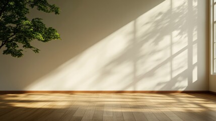 Fototapeta premium Empty Room With White Walls, Tree Shadows, And Sunlight, A Serene Space