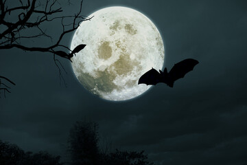 Spooky halloween background with silhouette dead tree at night full moon