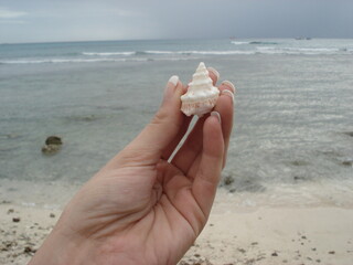 Woman with manicure holding shell at the beach