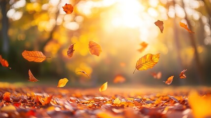 Stunning Autumn Sunset in a Blurred Forest with Falling Leaves, Nature's Serenity and Tranquility Reflected in a Beautiful Autumn Landscape with Copy Space for Design and Artwork