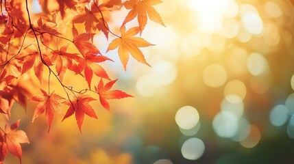 Stunning Autumn Red Maple Leaves Close-Up with Green Bokeh and Blurred Background, Reflecting Japanese Artistic Style in High Resolution and Vivid Natural Colors