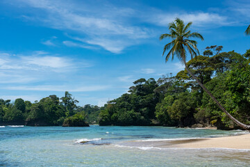 Tropical Beach Paradise with Palm Trees, Turquoise Clear Water, and Blue Sky - Perfect Island Vacation Destination for Relaxation, Sunshine, and Exotic Coastal Scenery in an Unspoiled Caribbean Resort