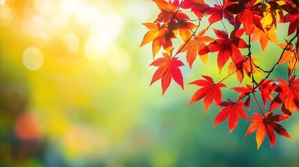 Stunning Autumn Red Maple Leaves Close-Up with Green Bokeh and Blurred Background, Reflecting Japanese Artistic Style in High Resolution and Vivid Natural Colors
