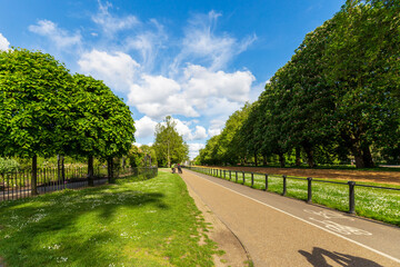 Sunny Pathway and Lush Greenery in London Park