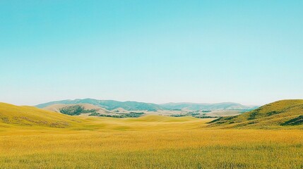 Fototapeta premium Golden Valley Vista: A sprawling expanse of sun-drenched grasslands stretches towards distant mountains under a vibrant blue sky. 