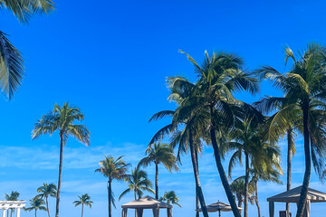Palm trees and cabanas surround luxurious pool at Florida hotel