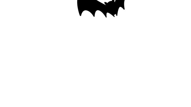 Motion graphics of flying bats on a white background.