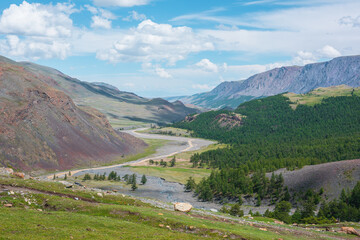 Naklejka premium Colorful sunny top view from grassy pass to wide alpine valley with coniferous trees and long mountain river to horizon. Creek flows into river in sunlight. Vivid green landscape in large mountains.