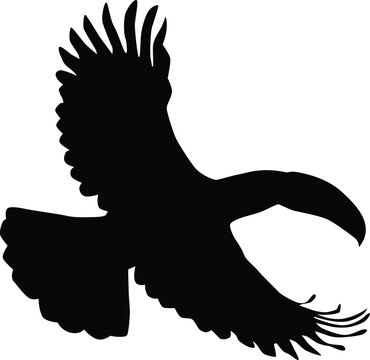 recommend clip art: Toucan silhouette full body illustration. Bird pose in wildlife.