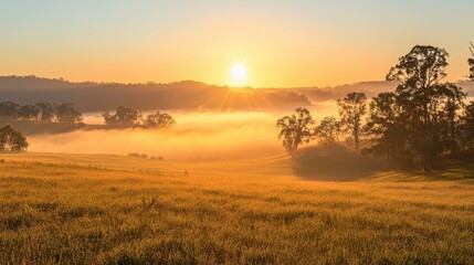 Obraz premium Scenic countryside with mist and sunrise,
