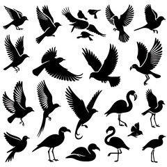 set of birds