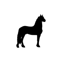 The silhouette of a horse in motion is very beautiful and charming