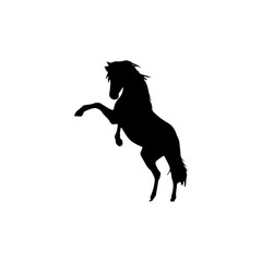 The silhouette of a horse in motion is very beautiful and charming