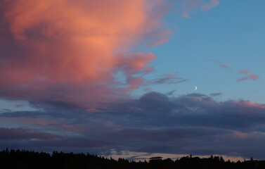 Pink and blue sunset over forest and village. Romantic dramatic background for design. Sky and clouds. 