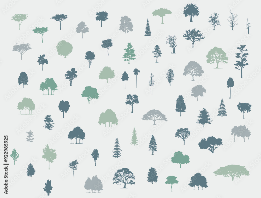 Poster Minimal style cad tree line drawing, Side view, set of graphics trees elements outline symbol for architecture and landscape design drawing. Vector illustration in stroke fill in white. Tropical, oak