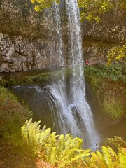 waterfall in the forest
