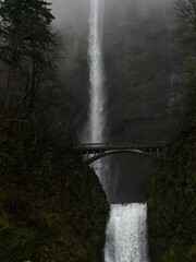 waterfall in the forest