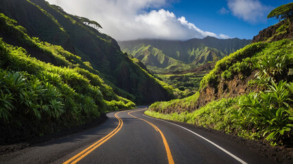 Fototapeta premium Beautiful Road to Hana in Maui, Hawaii 
