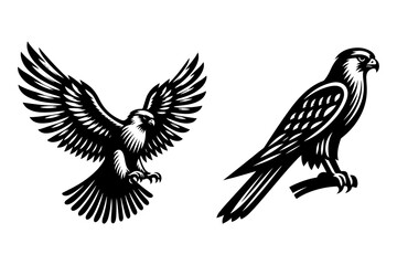 falcon set silhouette vector illustration isolated on transparent background- Generative AI