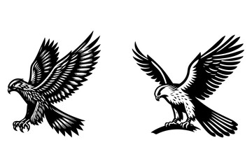 Fototapeta premium falcon set silhouette vector illustration isolated on transparent background- Generative AI