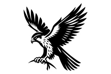 Fototapeta premium falcon silhouette vector illustration isolated on transparent background- Generative AI