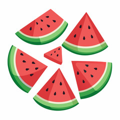 Watermelon Slices art vector illustration