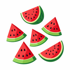Watermelon Slices art vector illustration
