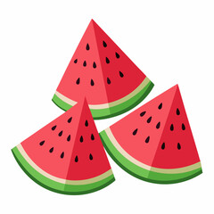 Watermelon Slices art vector illustration