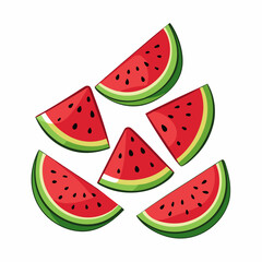 Watermelon Slices art vector illustration