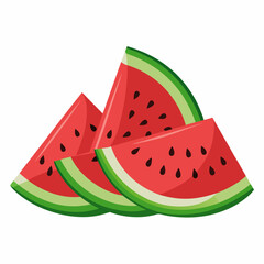 Watermelon Slices art vector illustration