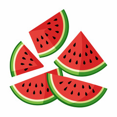 Watermelon Slices art vector illustration