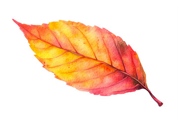 Watercolor Autumn Leaf On White Background For Graphic Designs, Created With Artificial Intelligence