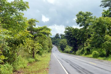 landscape of road in the countryside