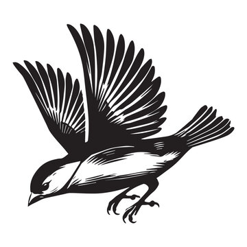 recommend clip art: American Goldfinch silhouette,  American Goldfinch diving Vector illustration in black and white