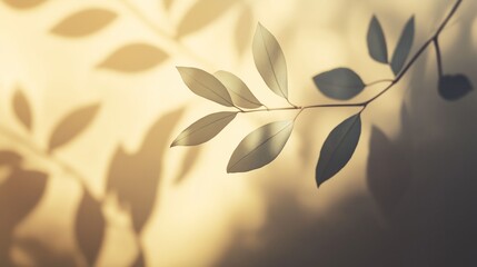 Image of delicate leaves bathed in warm sunlight, casting soft shadows on a beige background.