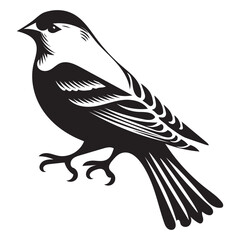 Obraz premium American Goldfinch silhouette, Perched with Tail Feathers Fanned Out Vector illustration in black and white