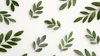 A serene flat lay of green leaves scattered on a white background, perfect for nature-themed designs or botanical aesthetics.