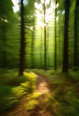 Obraz premium Blurry background of a dense forest with sunlight