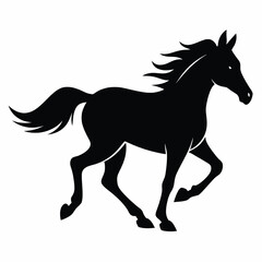 horse silhouette isolated on white