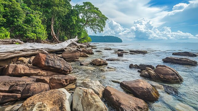 The rocky coastline at Tanjung Datu National Park in Sarawak features rugged, jagged rocks meeting the sea, with a fallen tree adding a natural touch to the scenery.