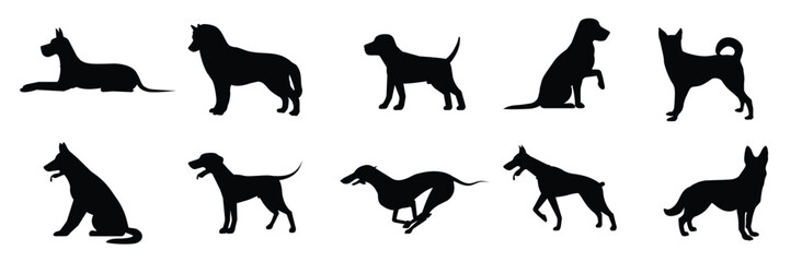 Set of silhouettes of different breeds of dogs.